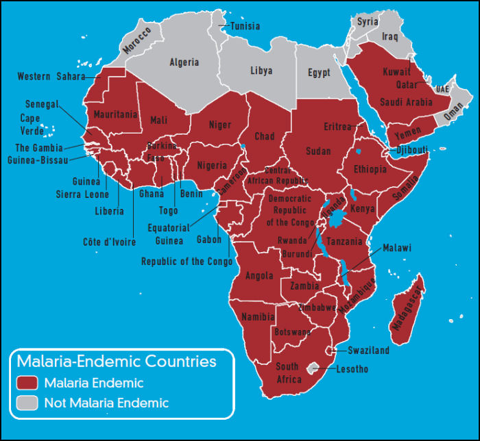 Madagascar Malaria Map